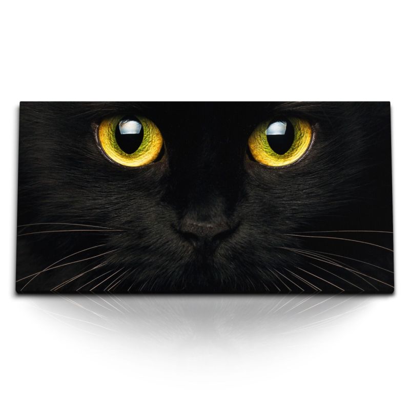 Kunstdruck Bilder 120x60cm Schwarze Katze grüne Katzenaugen Hauskatze Tierfotografie