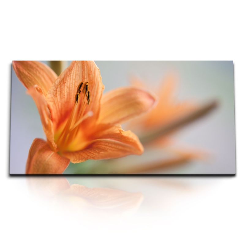 Kunstdruck Bilder 120x60cm Lilie Blume Orange Blüte Makrofotografie