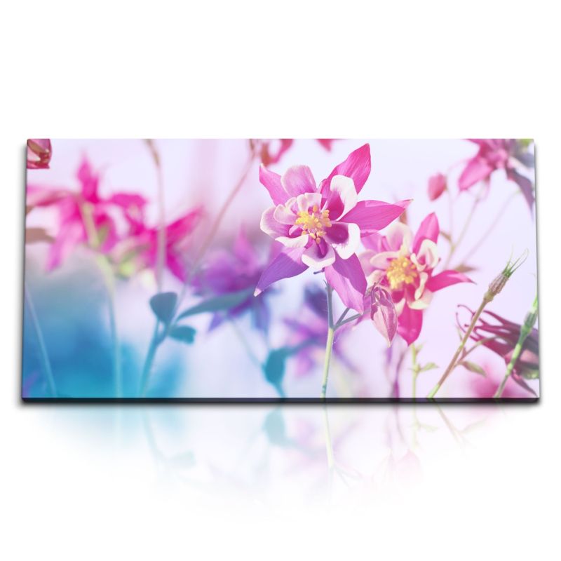 Kunstdruck Bilder 120x60cm Sommer Blumen Sonnenschein Blüten Lila Rosa