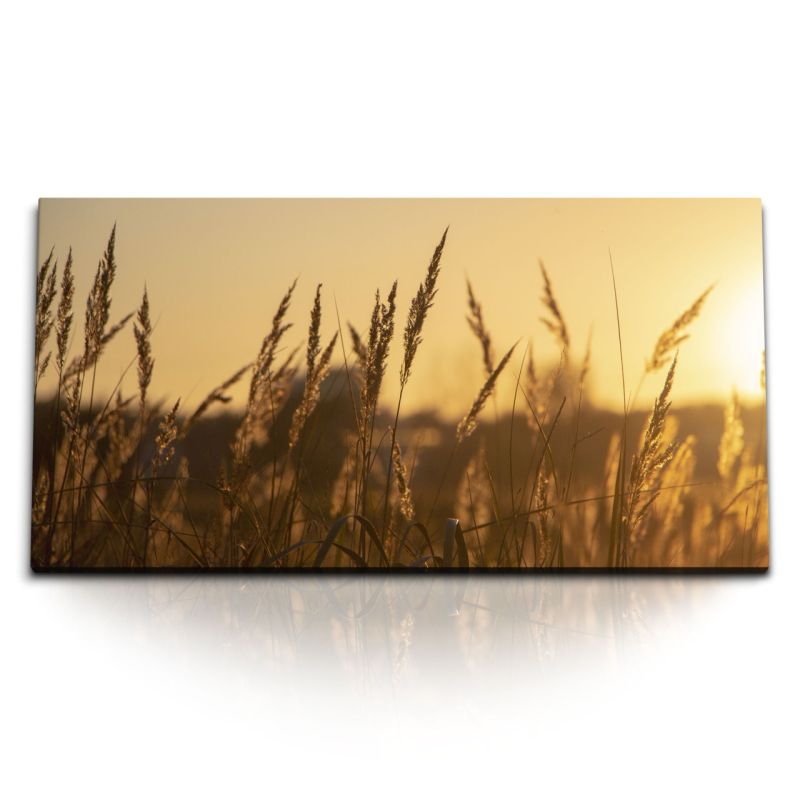 Kunstdruck Bilder 120x60cm Sonnenuntergang Weizen Weizenfeld Natur Abenddämmerung