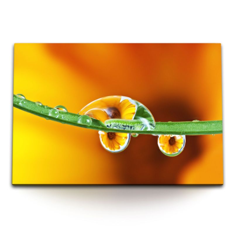 120x80cm Wandbild auf Leinwand Grashalm Makrofotografie Regentropfen Wassertropfen Orange