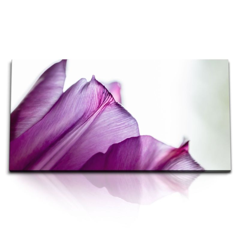 Kunstdruck Bilder 120x60cm Blume Blüte Makrofotografie Purpur Pink