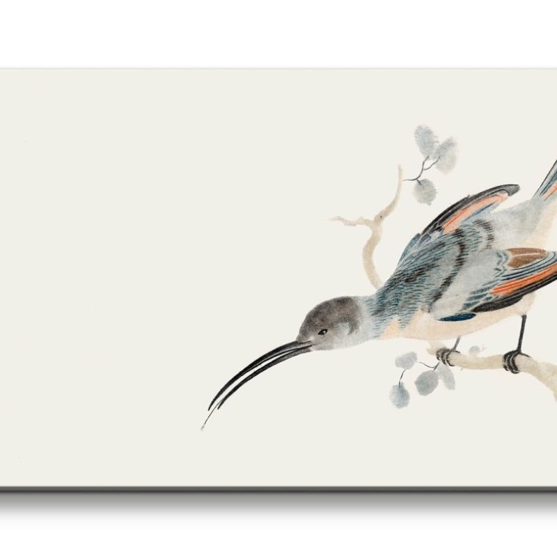 Remaster 120x60cm Johan Teyler Illustration Kolibri kleiner Vogel Minimal Dekorativ