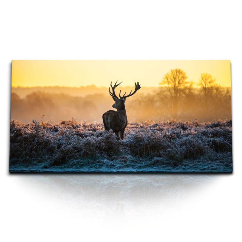 Kunstdruck Bilder 120x60cm Natur Hirsch Hirschgeweih Abendrot Sonnenuntergang