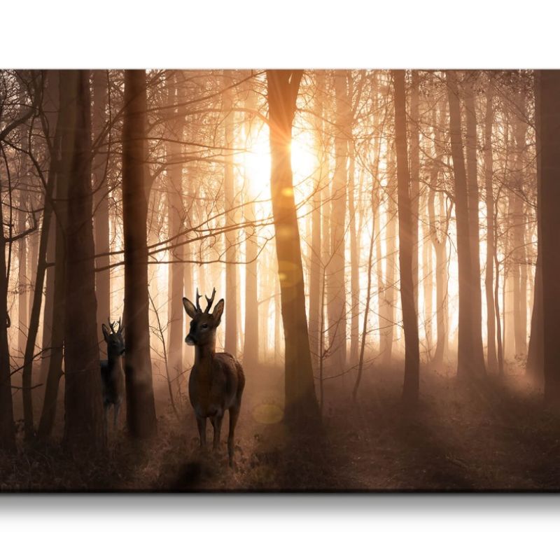 Leinwandbild 120x60cm Rehe Wald Sonnenstrahl Bäume Natur Stille