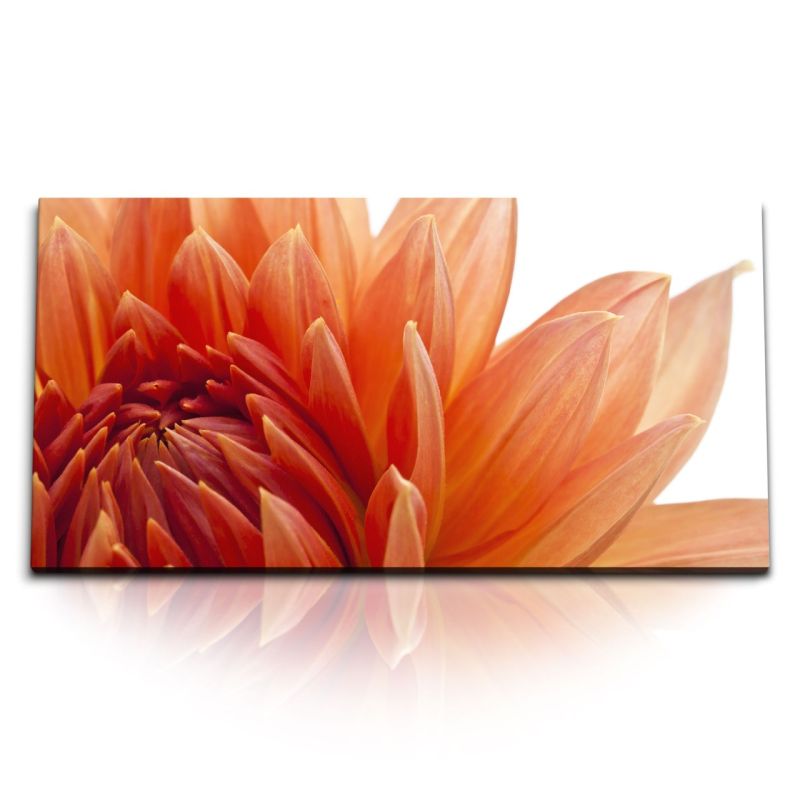 Kunstdruck Bilder 120x60cm Dahlie Dahlienblüte Rot Blume Nahaufnahme Blumenblüte