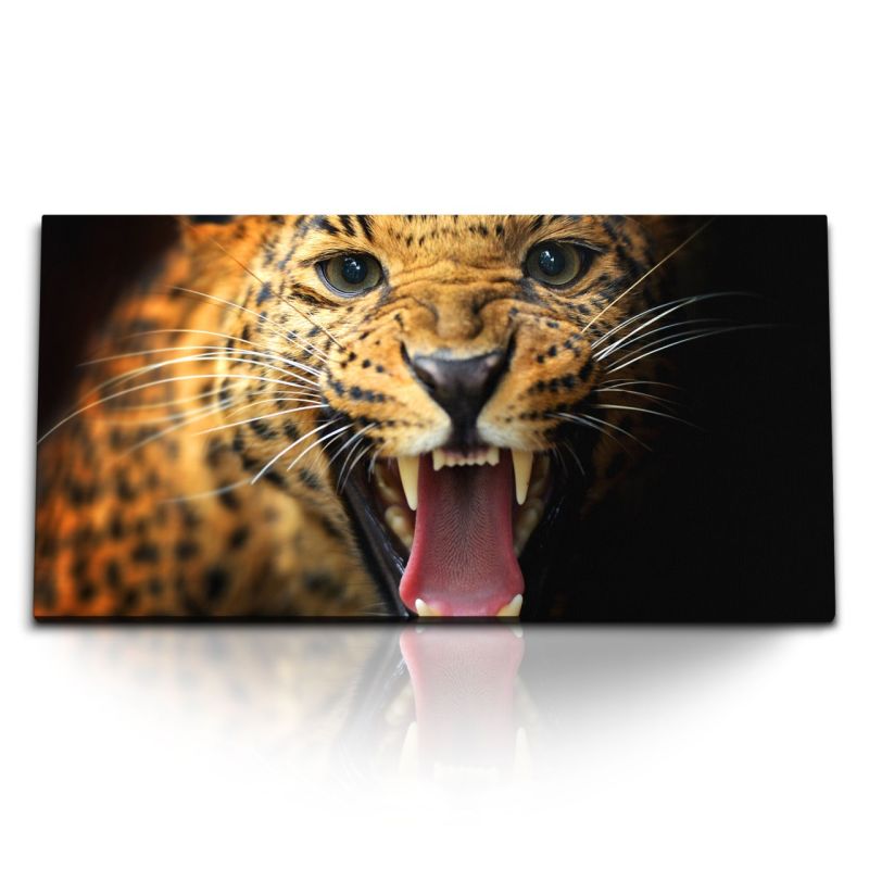 Kunstdruck Bilder 120x60cm Jaguar Raubkatze Tierfotografie Leopard Wild