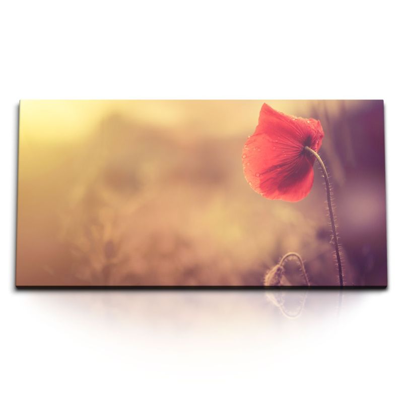 Kunstdruck Bilder 120x60cm Rote Mohnblume Blume Blüte Wildblume Natur