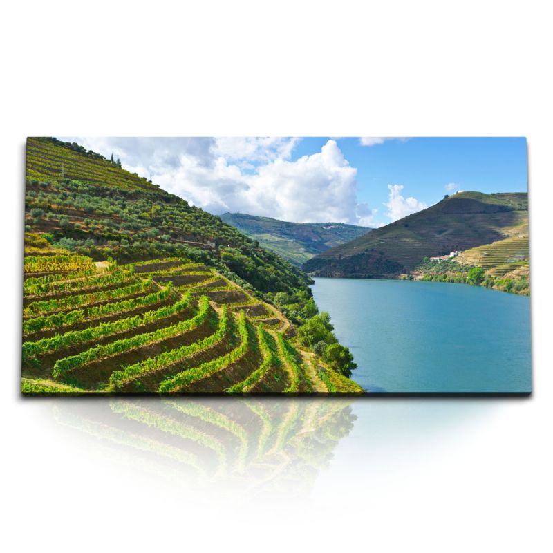 Kunstdruck Bilder 120x60cm Douro Fluss Weinberge Portugal Weinanbau Natur