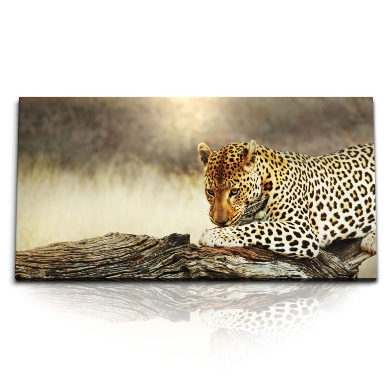 Kunstdruck Bilder 120x60cm Jaguar Leopard Raubkatze Wildnis Tierfotografie