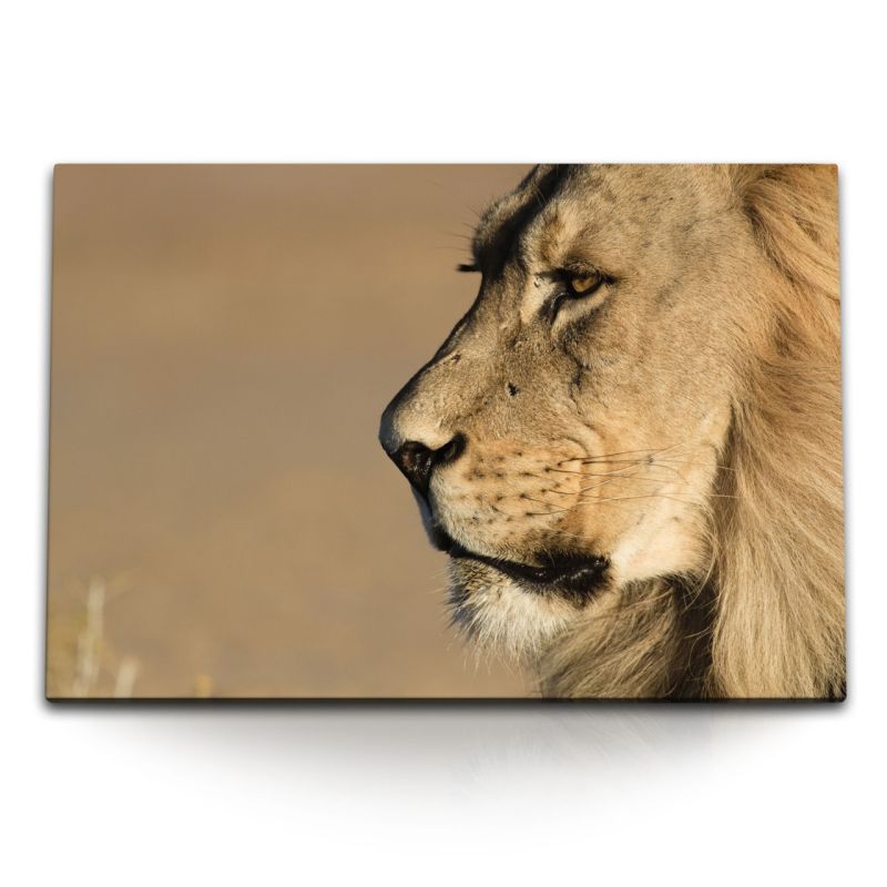 120x80cm Wandbild auf Leinwand Löwen Porträt Löwe Raubkatze Tierfotografie Afrika