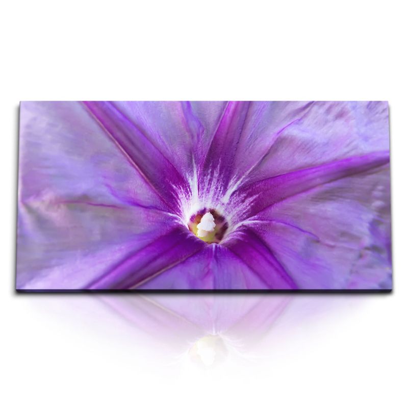 Kunstdruck Bilder 120x60cm Nahaufnahme Blume Blüte Natur Frühling Violett