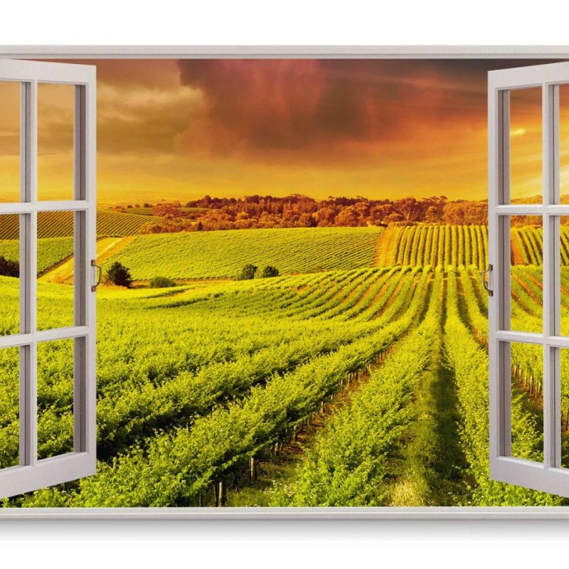 Wandbild 120x80cm Fensterbild Landschaft Natur Weinberge Toskana Sonnenschein