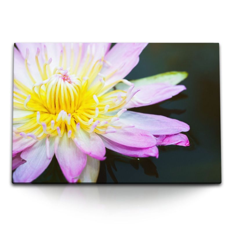 120x80cm Wandbild auf Leinwand Blume Exotisch Blüte Nahaufnahme Makrofotografie