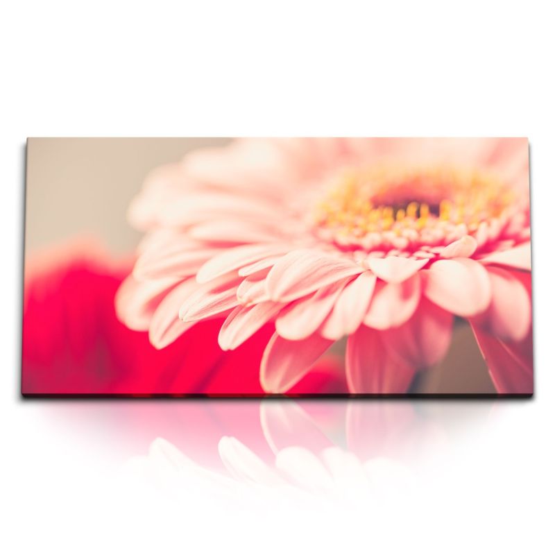 Kunstdruck Bilder 120x60cm Gerbera Blume Blüte Makrofotografie Kunstvoll Sonnenschein