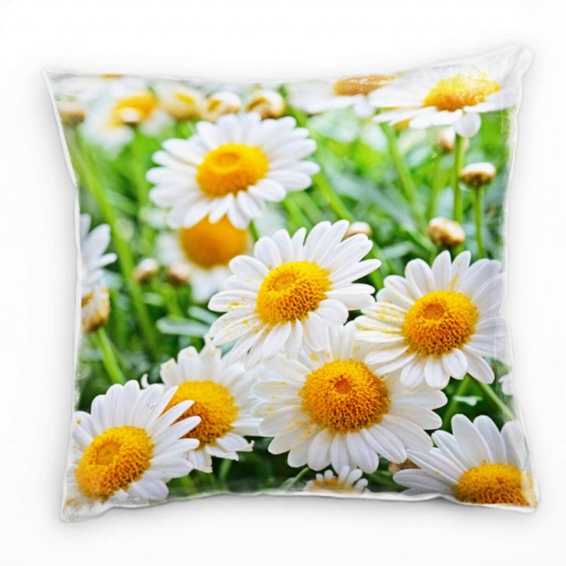 Blumen, Macro, weiß, gelb, grün, Kamille  Deko Kissen 40x40cm für Couch Sofa Lounge Zierkissen