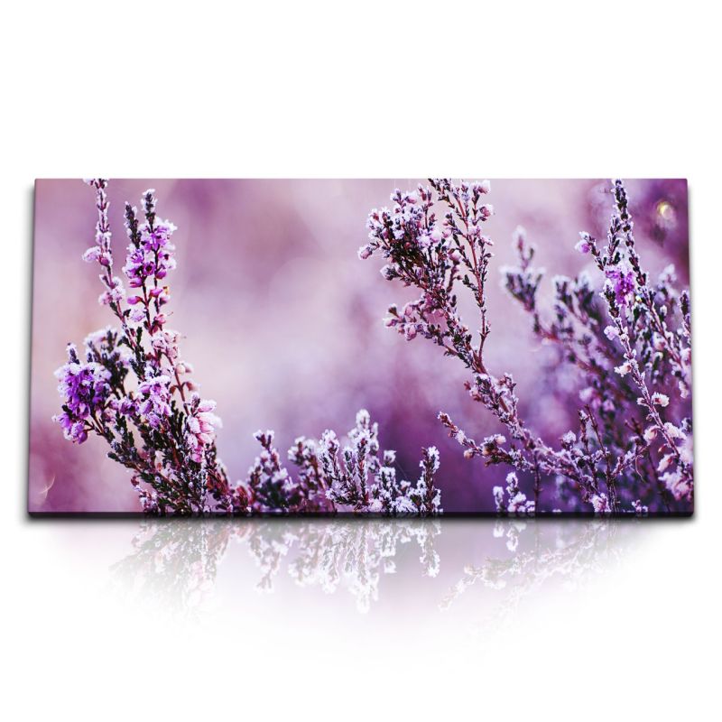 Kunstdruck Bilder 120x60cm Frost Pflanzen Winter Winterfrost Natur