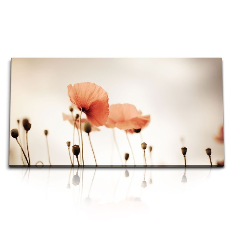 Kunstdruck Bilder 120x60cm Mohnblumen Feldblumen Wildblumen Fotokunst rote Blumen