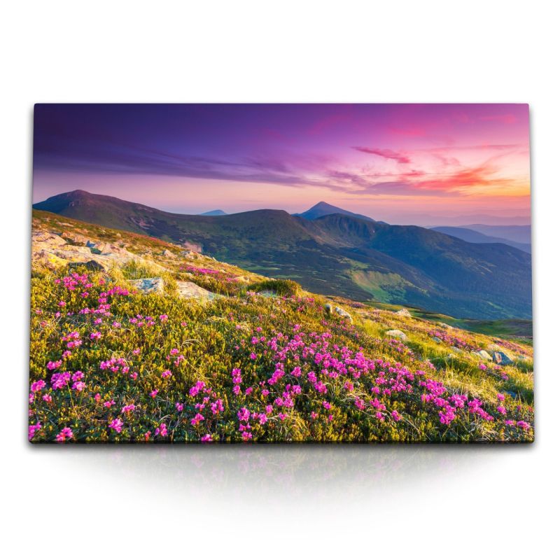 120x80cm Wandbild auf Leinwand Berglandschaft Berge Sonnenuntergang Blumenwiese