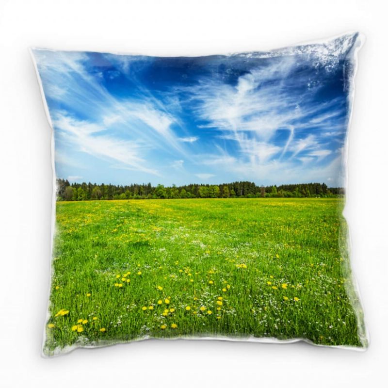 Natur, grün, blau, Wiese, Schleierwolken, Wald Deko Kissen 40x40cm für Couch Sofa Lounge Zierkissen