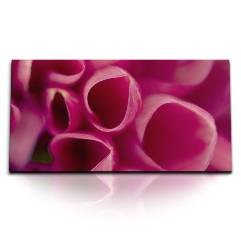 Kunstdruck Bilder 120x60cm Makrofotografie rosa Blüte Blume Kunstvoll