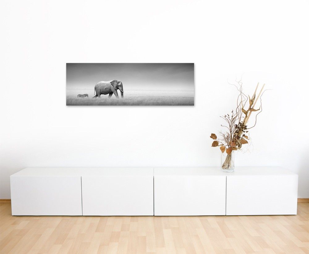 120x80cm Wandbild Kenia Akazien Wildtiere Sonnenuntergang, Tierfotografie –  Möwen in der Luft auf Leinwand, Tierfotografie –  Portrait eines männlichen Pfau auf Leinwand, Tierfotografie –  Weißer Araberhengst bei Nebel auf Leinwand, Tierfotografie – Ara im Portrait auf Leinwand, Tierfotografie – Auge eines Alligators auf Leinwand, Tierfotografie – Bengalischer Königstiger auf Leinwand, Tierfotografie – Bunte Prachtlori Papagei Federn auf Leinwand, Tierfotografie – Elefant im Nebel auf Leinwand, Tierfotografie – Elefant und Zebra   auf Leinwand, Tierfotografie – Elefant und Zebra   auf Leinwand, Tierfotografie – Elefant, Kanchanaburi Provinz, Thailand auf Leinwand, Tierfotografie – fliegen flugzeug technik reisen verreisen reisekopf in Makroaufnahme auf Leinwand, Tierfotografie – Jaguar auf Baum auf Leinwand, Tierfotografie – Portrait einer jungen Katze auf Leinwand, Tierfotografie – Roter europäischer Fuchs auf Leinwand, Tierfotografie – Seeadler im Profil auf Leinwand, Tierfotografie – Seitenprofil vom bengalischer Königstiger  auf Leinwand, Tierfotografie – Wilder afrikanischer Löwe, Kenia auf Leinwand