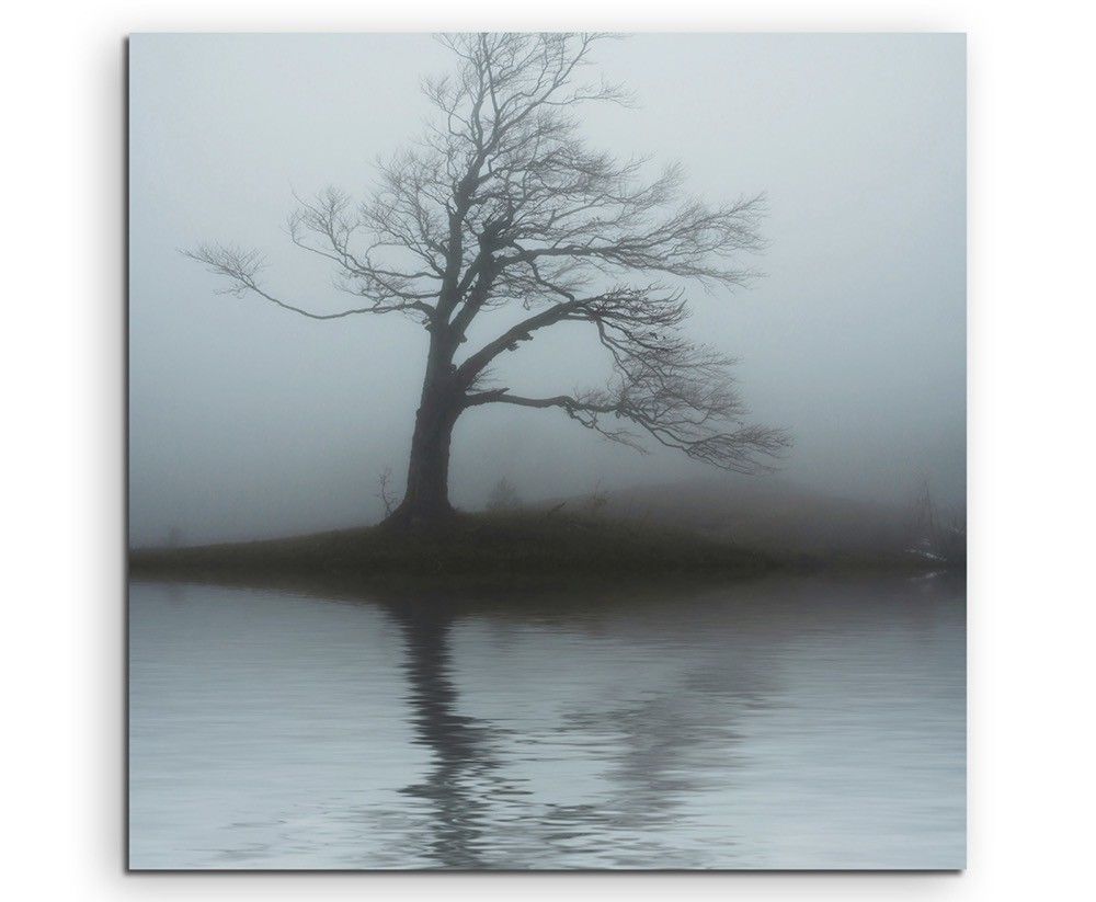 Naturfotografie –  Einsamer Baum in grauer Nebenllandschaft auf Leinwand