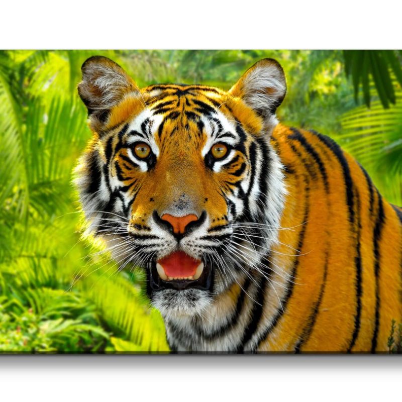 Leinwandbild 120x60cm Wilder Tiger Raubkatze Dschungel Wildnis Indien