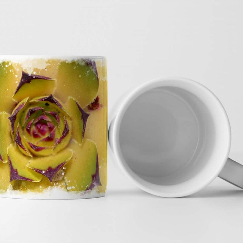 Tasse Geschenk Naturfotografie – Florale Sukkulente