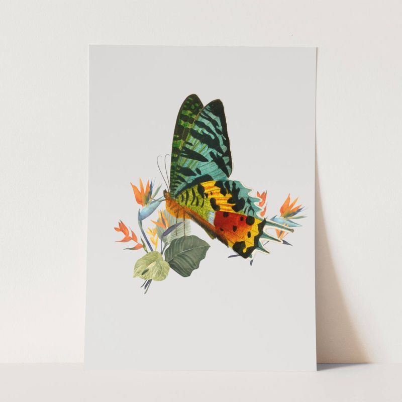 Wandbild Schmetterling Farbenfroh exotische Pflanzen Blumen