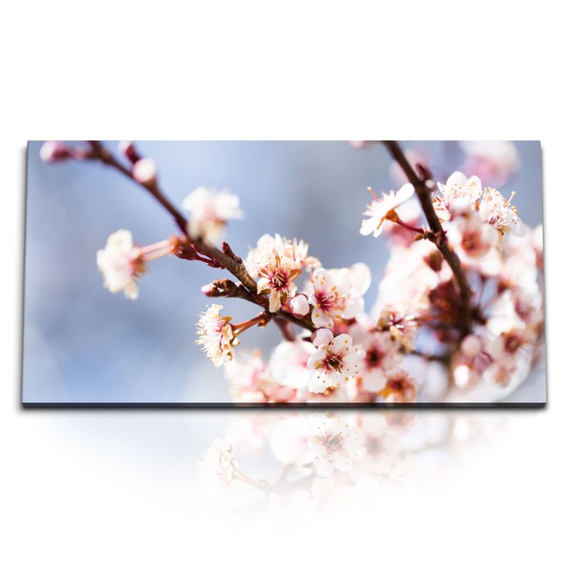 Kunstdruck Bilder 120x60cm Frühling Baumblüte Kirschblüte Blüten Zweige Natur