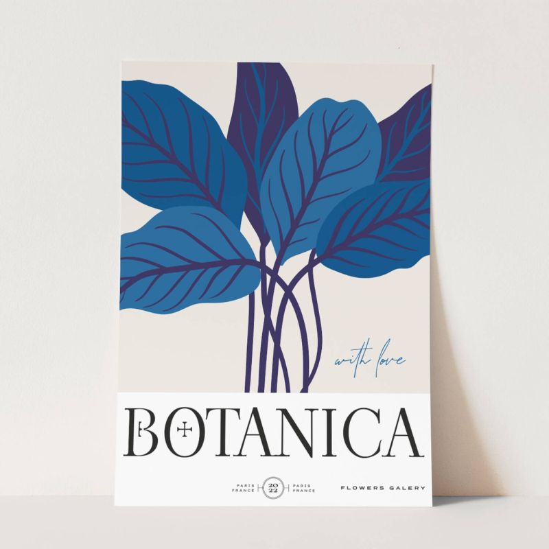 Botanica Wunderschöne Blumen Illustration Dekorativ Modern Farbenfroh