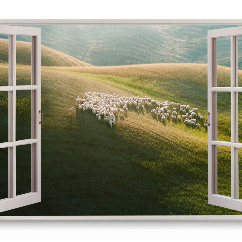 Wandbild 120x80cm Fensterbild Grüne Wiese Landschaft Schafherde Schafe