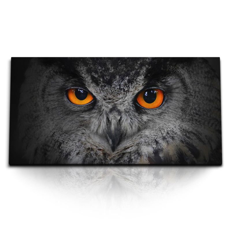 Kunstdruck Bilder 120x60cm Tierfotografie Eule Augen Eulenaugen Dunkel