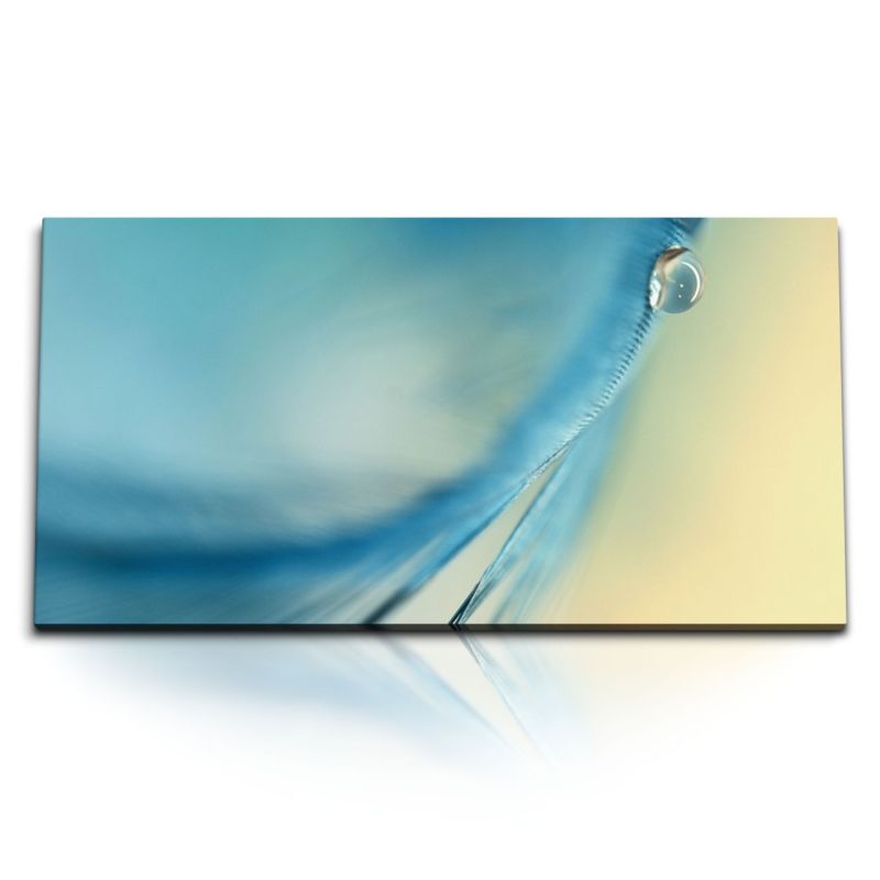 Kunstdruck Bilder 120x60cm Blaue Feder Makrofotografie Wassertropfen Kunstvoll