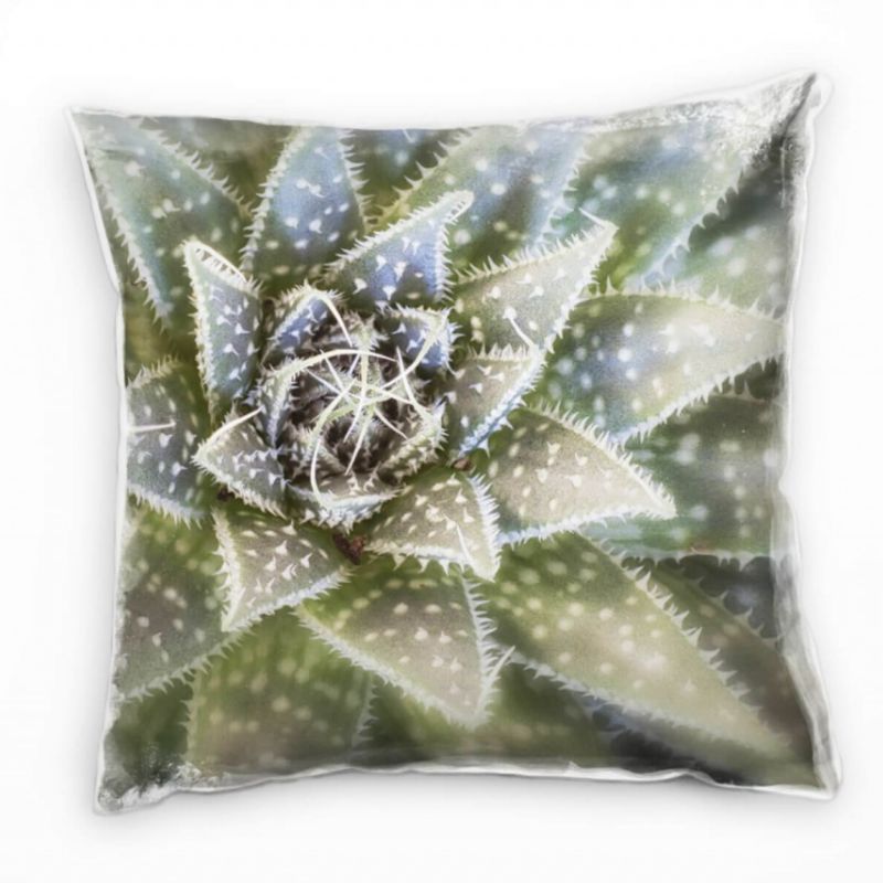 Macro, Succulent, grün, Dornen, grau Deko Kissen 40x40cm für Couch Sofa Lounge Zierkissen