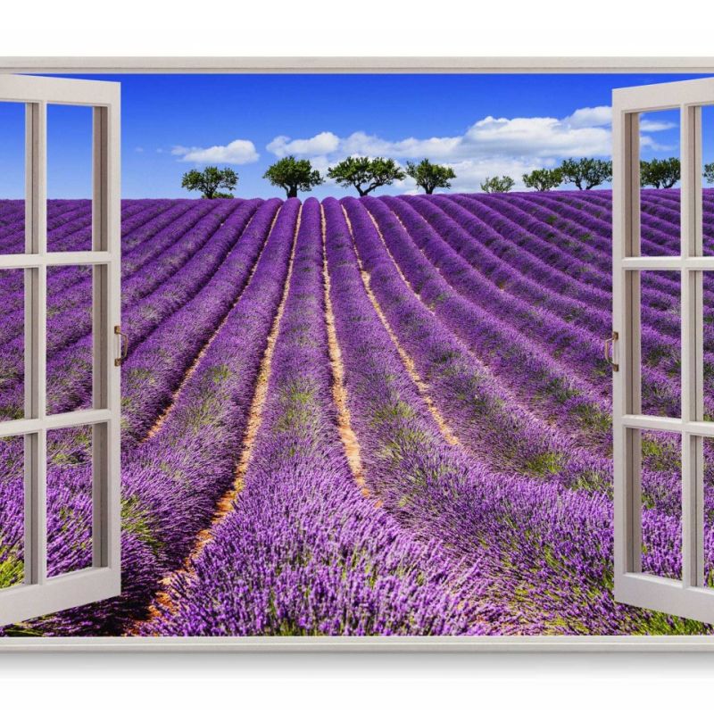 Wandbild 120x80cm Fensterbild Lavendel Lavendelfeld Farbenfroh blauer Himmel