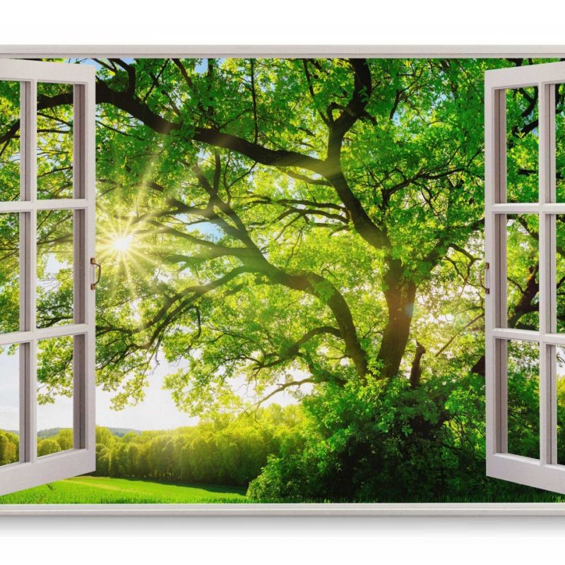 Wandbild 120x80cm Fensterbild Grüne Baumkrone Baum Natur Landschaft Sommer