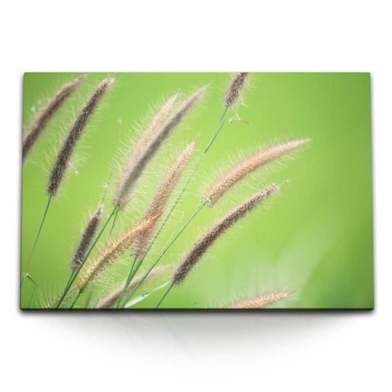 120x80cm Wandbild auf Leinwand Halme Weizen Natur Grün Pflanzen Sommer