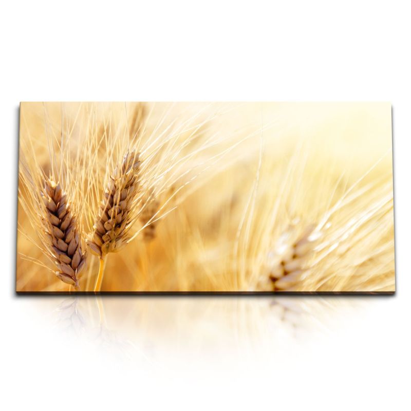 Kunstdruck Bilder 120x60cm Weizen Weizenhalme Weizenfeld Sommer Sonnenschein