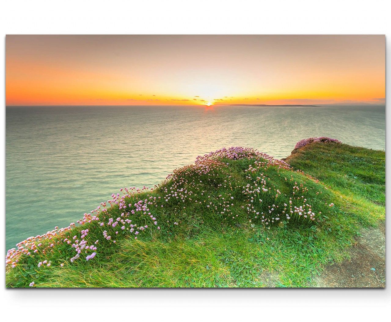 Landschaftsfotografie  Klippe mit rosa Blüten bei Sonnenuntergang – Leinwandbild