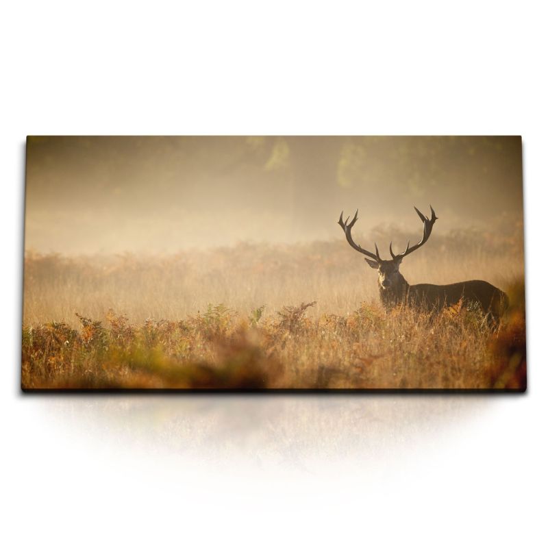 Kunstdruck Bilder 120x60cm Hirsch Tierfotografie Grasland Natur Hirschgeweih