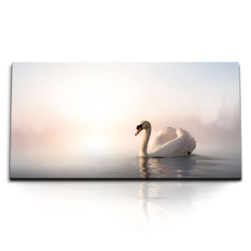 Kunstdruck Bilder 120x60cm Schwan See Nebel Natur Schwanensee Weiß