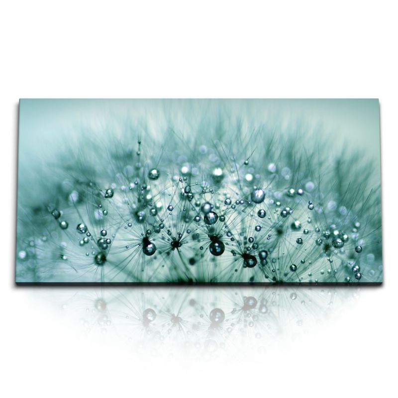 Kunstdruck Bilder 120x60cm Makrofotografie Pusteblume Tropfen Regentropfen Türkis