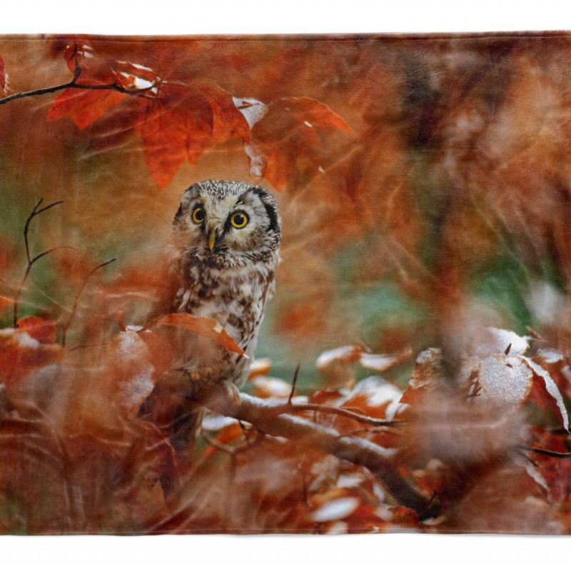 Handtuch Strandhandtuch Saunatuch Kuscheldecke  mit Tiermotiv keine Eule im Wald