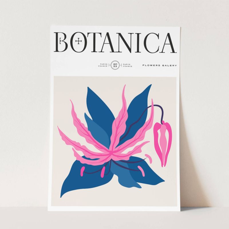 Botanica Wunderschöne Blumen Illustration Dekorativ Modern Farbenfroh