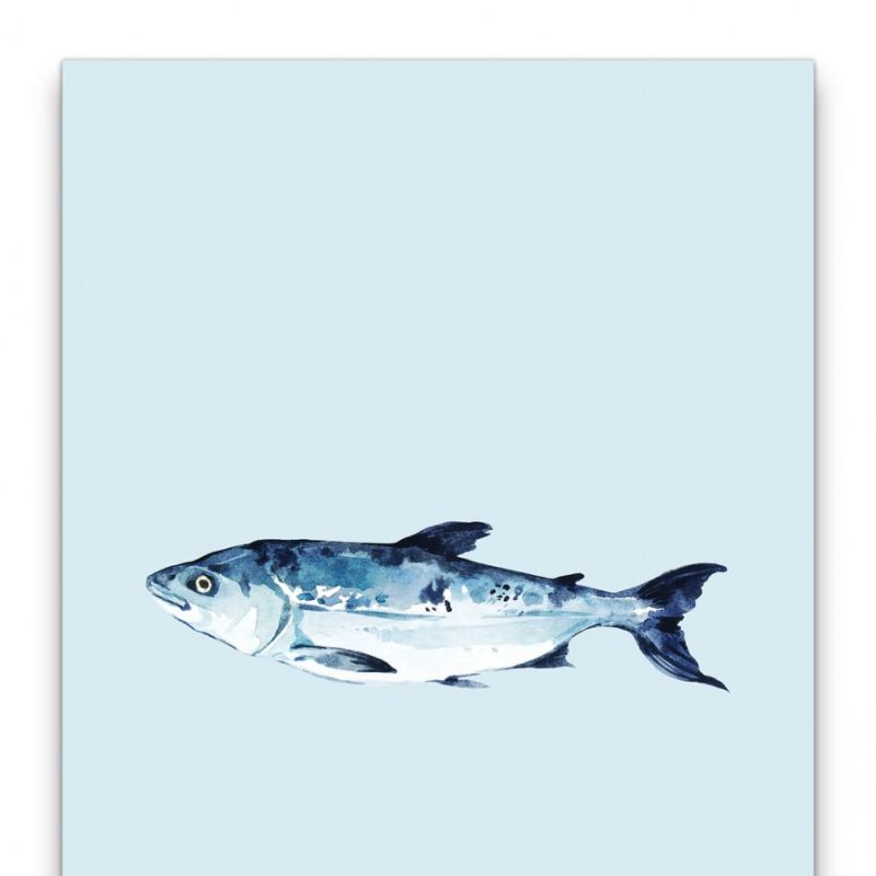 Fisch Aquarell Minimal Modern Blau Wasserfarben Dekorativ