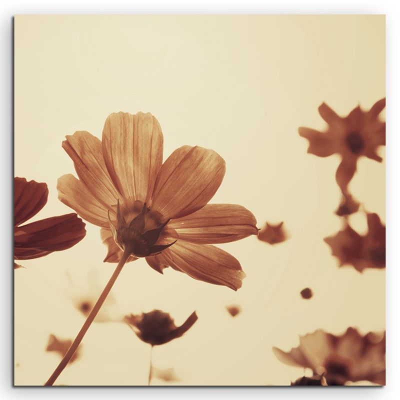 Naturfotografie – Retro Blumen mit Sepia Himmel auf Leinwand