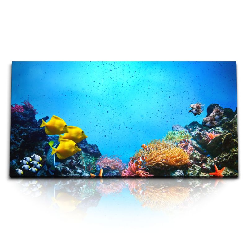 Kunstdruck Bilder 120x60cm Korallenriff Korallen unter Wasser Fotografie Fische