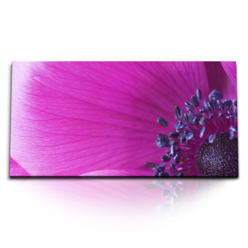 Kunstdruck Bilder 120x60cm Rosa Blume Blüte Nahaufnahme Makrofotografie Kunstvoll